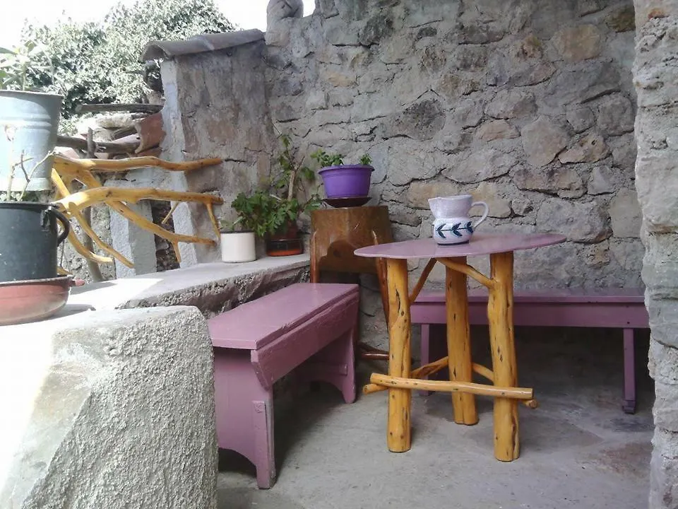 Apartment Anetica Cres